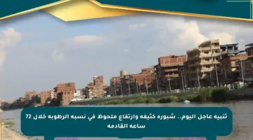 تنبيه عاجل اليوم.. شبورة كثيفة وارتفاع ملحوظ في نسبة الرطوبة خلال 72 ساعة القادمة